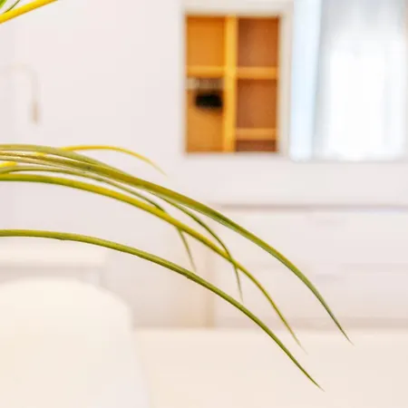 Mallorcarooms 3* Cala Millor (Mallorca)