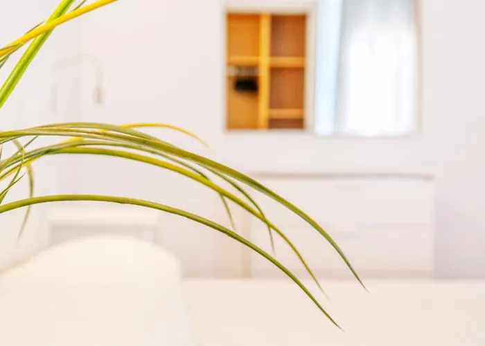 Mallorcarooms 3* Cala Millor (Mallorca)